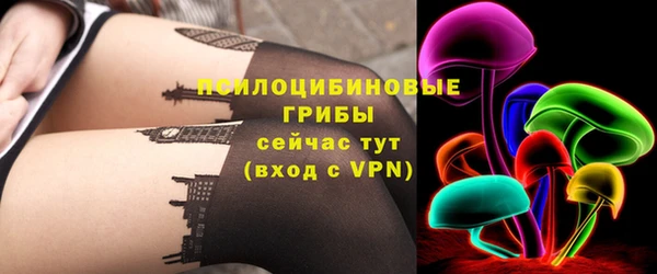 дмт Аркадак