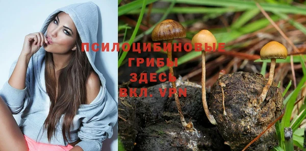 мет Арсеньев