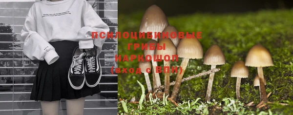 мет Арсеньев